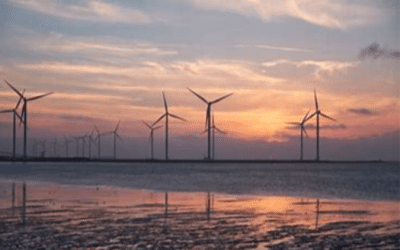Éoliennes, fausse bonne idée écologique